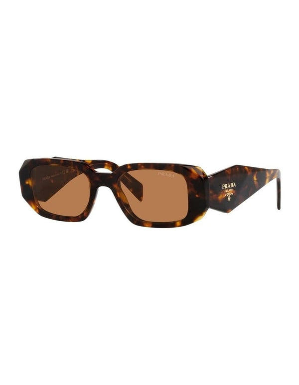 Prada Sunglasses in Honey Tortoise