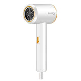 PREMIUM BLUE RAY IONIC HAIR CARE DRYER