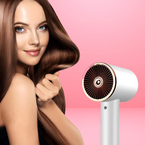 PREMIUM BLUE RAY IONIC HAIR CARE DRYER